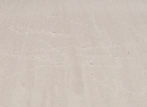 72 h350 143 Detail Dune B 2012.jpg